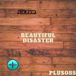 Artwork voor "Beautiful Disaster"