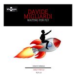 Artwork for "Waiting For Fly"