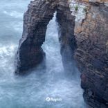 Portada para "Wake Up and Dream 2021"