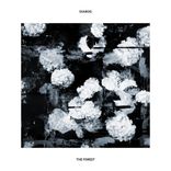 Artwork for "The Forest"