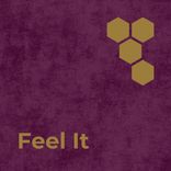 Artwork voor "Feel It"