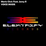 Artwork for "Voice Inside"