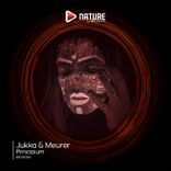 Artwork for "Principium"