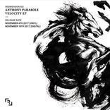 Artwork for "Velocity"