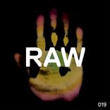 Artwork voor "Raw 019"