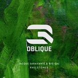 Artwork für "Hailstones"