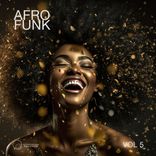 Artwork voor "Afro Funk Vol 5"
