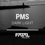 Artwork voor "Dark Light"