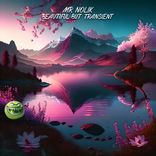 Artwork for "Beautiful But Transient"