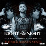 Artwork voor "Right in the Night (The Nick Harvey Mixes)"