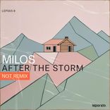 Artwork for "After The Storm"