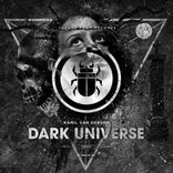 Dark Universe