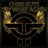 Artwork voor "Say What Again"
