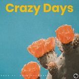 Artwork für "Crazy Days"