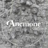 Artwork for "Forest"