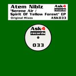 Artwork voor "Serene Air / Spirit Of Yellow Forest"