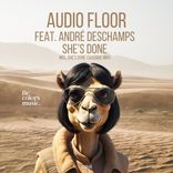 Artwork for "She's Done"