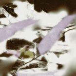 Portada para "Supercharger"