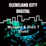 Portada para "Shake"