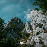 Artwork for "Growing in the Sun"