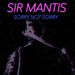 Artwork voor "sorry not sorry"
