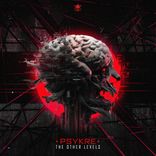 Artwork for "The other levels"