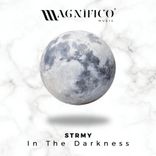 Artwork voor "In The Darkness"