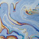 Artwork für "Last Bloom"