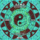Artwork for "Shaking"