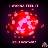 Artwork for "I Wanna Feel It"