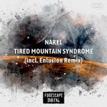 Artwork for "Tired Mountain Syndrome"