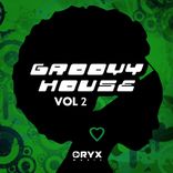 Artwork voor "Groovy House, Vol. 2"