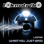 Artwork for "What You Just Said"