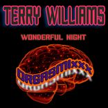 Artwork for "Wonderful Night"