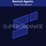 Artwork for "Reincarnation"