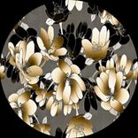 Artwork for "Dr.Mantel EP"