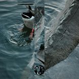 Artwork für "Do Something"