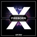 Artwork voor "Fireborn"