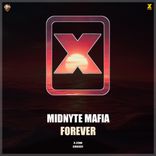 Artwork voor "Forever"