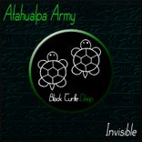Artwork for "Invisible"
