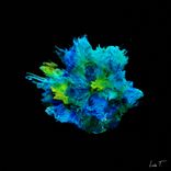 Artwork for "Reveries"