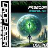 Artwork for "Freedom"