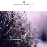 A Swirl of Colors In Fractal Visions