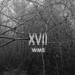 Artwork for "WMS - XVII"