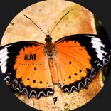 Portada para "Alive"