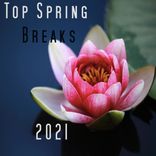 Artwork for "Top Spring Breaks 2021"
