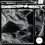 Artwork for "Disconnect"