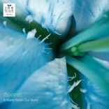 A World Within Our World