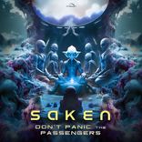 Artwork for "Don't Panic the Passengers"