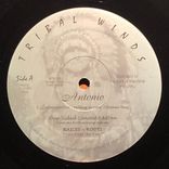 Enamorandose ~ Falling in Love